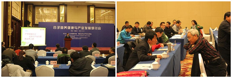 小米回歸主糧指日可待 谷子產業發展前景無限