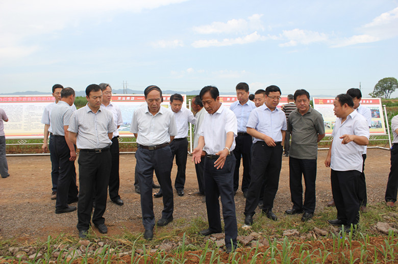 觀摩旱作農(nóng)業(yè)多方面   鼓勵創(chuàng)新發(fā)展譜新篇