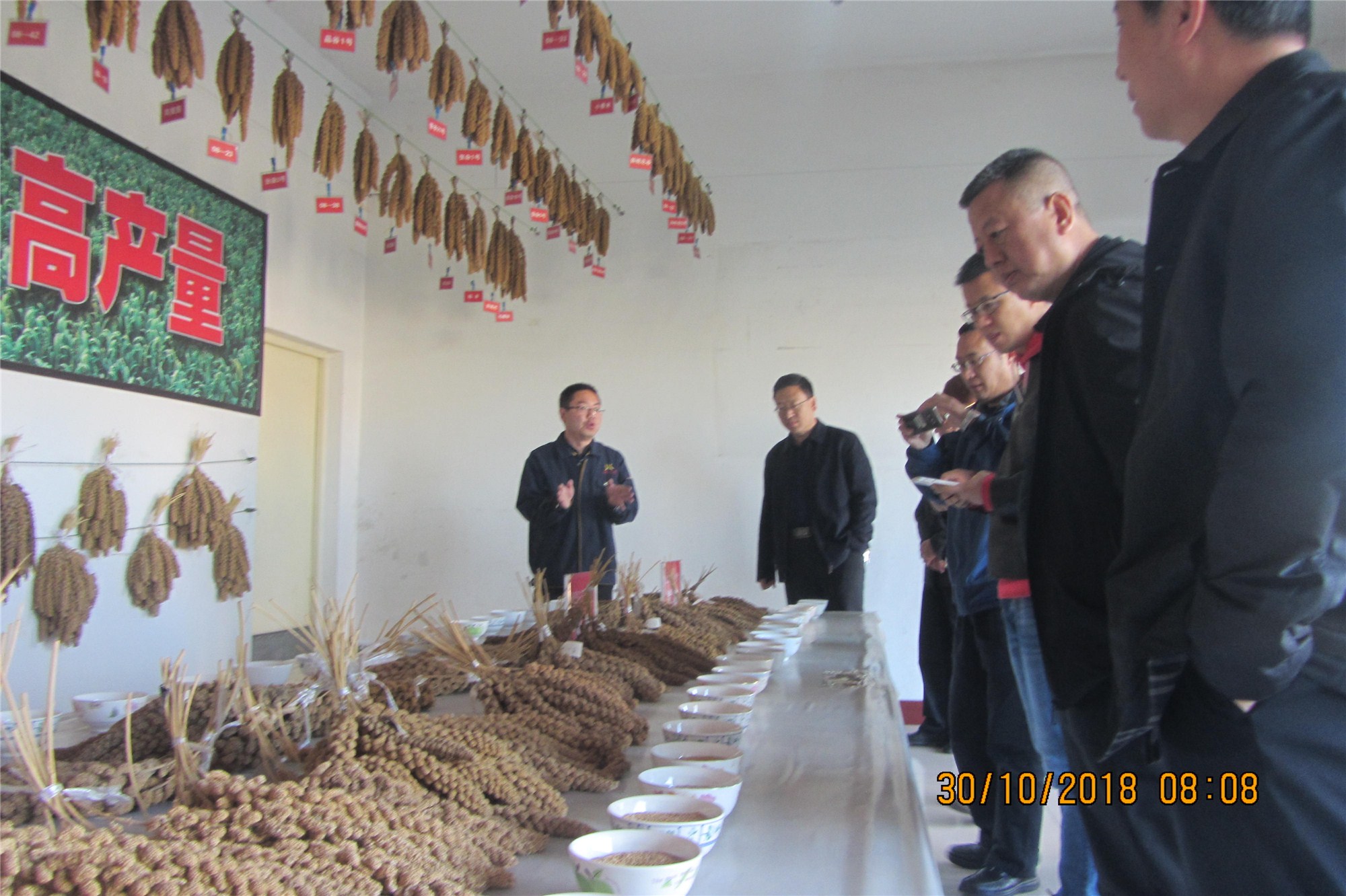 省市糧食局陪同四川省糧食局蒞臨我司考察調(diào)研