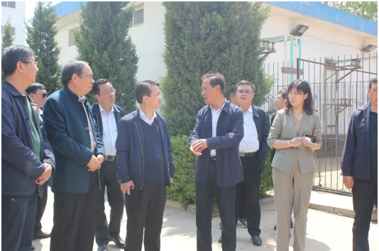 省糧食局副局長(zhǎng)徐曉峰一行蒞臨我公司 督導(dǎo)高標(biāo)準(zhǔn)谷子種植育種基地籌建工作